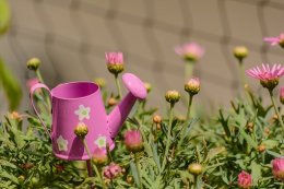 Watering your lawn