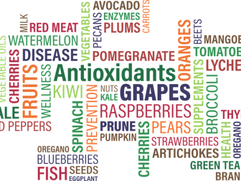 nutritional mind map