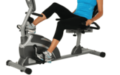ergonomic, recumbent bike