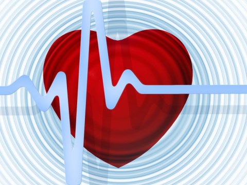 healthy pulse