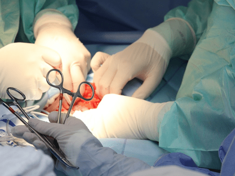 surgery
